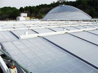 改修前の太陽光温水パネル（屋上）の作品画像