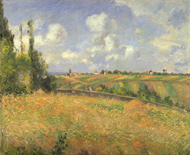 カミーユ・ピサロ 《ポントワーズ、ライ麦畑とマチュランの丘》の写真