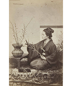 下岡蓮杖《梅の枝を活ける女性》の画像